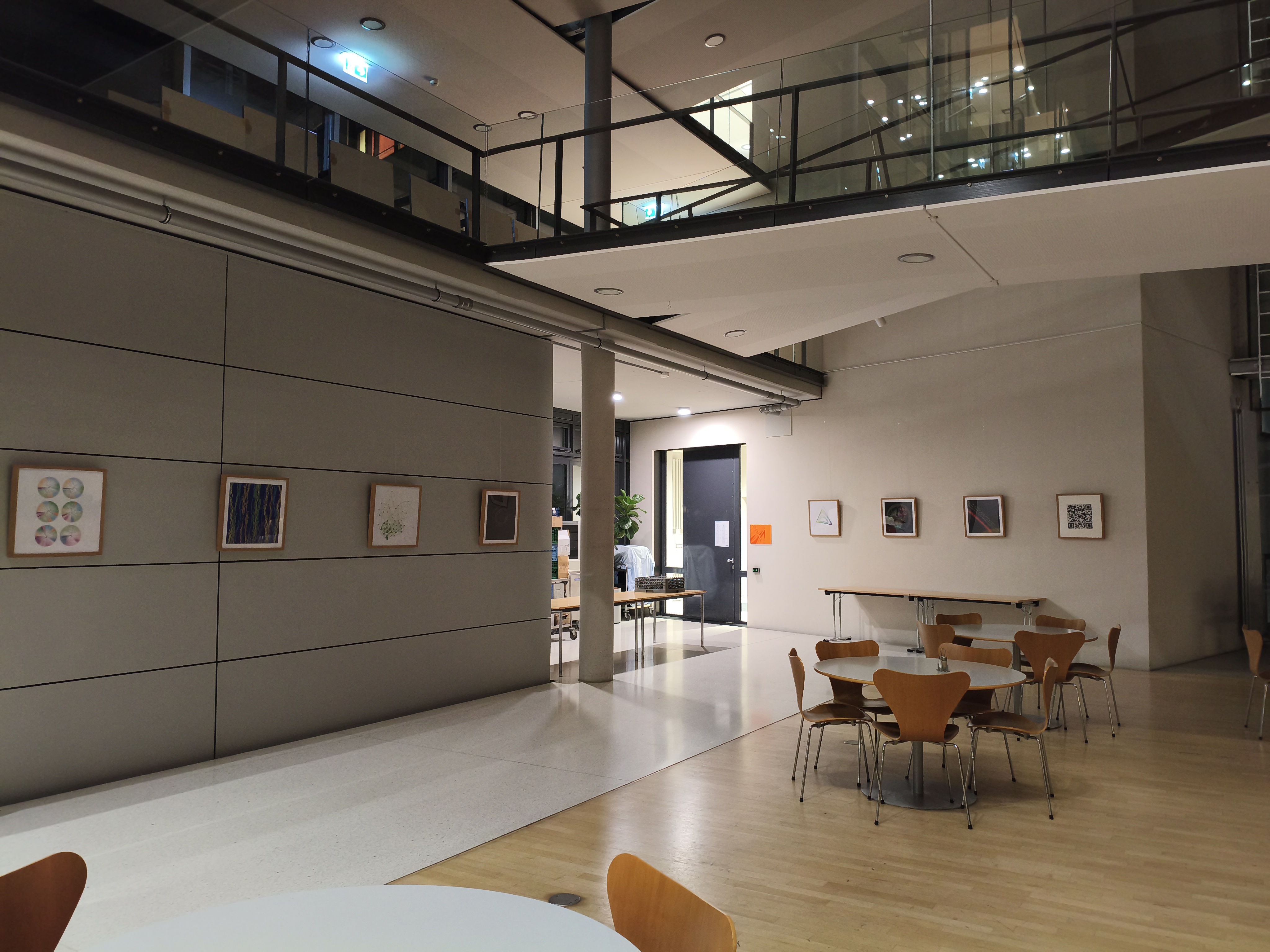 Macaca sylvanus network